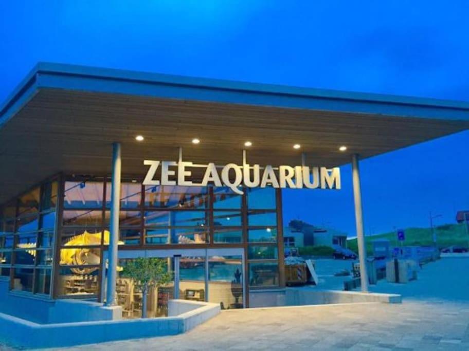 Wind - Modern Beach House Bergen aan Zee Exterior photo